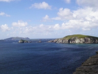 Tra le cose che inevitabilmente colpiscono subito in Irlanda, fin dal primo sguardo