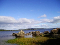 dai colori vivi e intensi