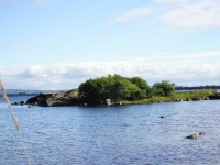 specialmente lungo i corsi dâ€™acqua