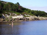 con qualcuno che, nonostante le temperature, ha anche il coraggio di fare il bagno