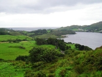 accanto a distese di prati verdi