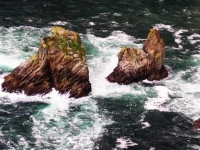 con il particolare dei due scogli che affiorano: la sedia e il banco del gigante