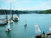 e che fortunatamente offre anche una buona quantitÃ  di ricambi dalle nuove generazioni, a dispetto delle temperature