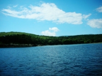 intensi paesaggi verdeggianti