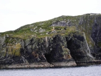 dove pigre presenze bovine si andavano a spaparanzare per trascorrere la giornata