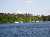 tra una vegetazione magnificamente rigogliosa