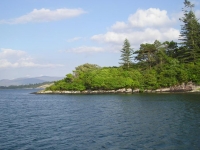 se non fosse per la temperatura dellâ€™acqua