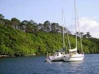 sembrerebbe quasi di essere ai caraibi