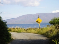 Il cartello con lâ€™automobilina che si tuffa non ha un granchÃ© di pittoresco, ma era lÃ¬, era divertente, e si Ã¨ meritato una foto