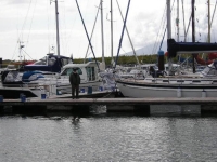 Lui Ã¨ un poâ€™ il factotum del porto di Dingle. Nel suo contesto perfetto. Lâ€™uomo giusto al posto giusto.