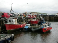 Quando siamo arrivati la marea era cosÃ¬