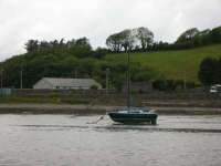 Quando siamo andati via era diventata cosÃ¬