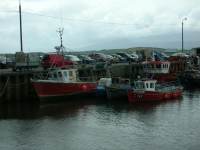 e non erano nemmeno gli orari di massima escursione