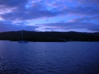 dicono giÃ  tutto loro