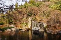 la pulizia e lâ€™ordine dei giardini