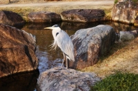 e chi ci vive pare proprio godersi la bellezza del posto