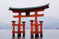 Il torii di Itsukushima, la porta sacra per lâ€™accesso al tempio shintoista