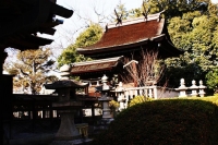 Un altro tempio buddhista tra le fronde degli alberi