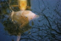 anche se qualcuno di loro, piÃ¹ che stupito, ne sembrava compiaciuto