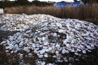 Il cimitero delle valve