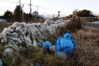 riposte ordinatamente con ossequio a riposare