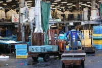 Ã¨ il piÃ¹ grande mercato ittico del mondo