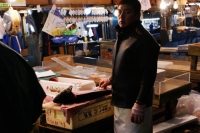 in cui vengono giÃ  sezionate le trance destinate a popolare ristoranti e sushi bar