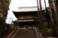 e qualcuno piÃ¹ grande