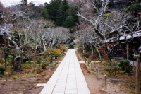 Una passeggiata per il giardino botanico