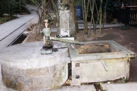 con una fontanella che tra la natura sâ€™integra a meraviglia