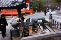 Il bello di scattare foto qui Ã¨ che, qualunque sia il soggetto