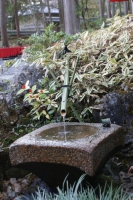 una delle tante fontanelle tra le piante