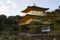 ed eccolo di nuovo qui