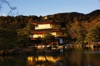 e poi basta guardarlo