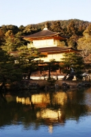 câ€™Ã¨ bisogno di aggiungere altro per descriverlo?