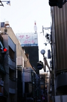 i cui segni a Osaka sono molteplici, raffigurati con piÃ¹ o meno gusto, dallâ€™enorme birillo sulla cima di un fabbricato