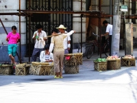 Banchetti di frutta lungo la strada