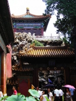 gli eleganti motivi architettonici