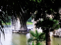 La â€œcollina della proboscide dell\'elefanteâ€, un poâ€™ nascosta tra le foglie