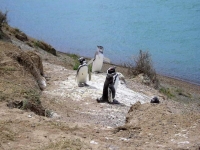 altri fanno vita sociale