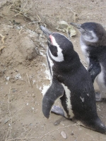 godendosi un poâ€™ di sole