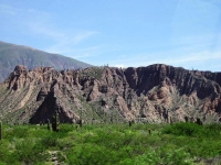 Rocce e vegetazione tra le alture tropicali nella Quebrada de Humahuaca