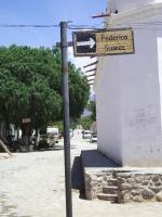 Nella terra dei cactus giganti, ogni cosa di fa con quel legno