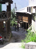 Scorcio con ciuffi di ganja ornamentale