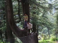 Ragazzini che giocano a giocare