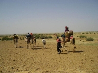 A spasso nel deserto