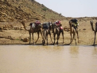 Una pausa rinfrescante allâ€™oasi
