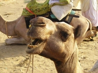 Lello che gongola perchÃ© lâ€™ho definito â€œil vero protagonistaâ€